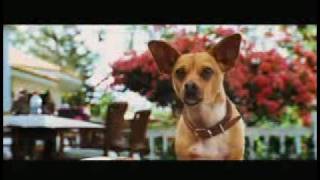 Una Chihuahua de Beverly Hills Trailer [upl. by Mines]