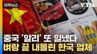 자막뉴스 quot햇반부터 장어까지quot고물가에 초저가 내세운 알리 [upl. by Llekram]