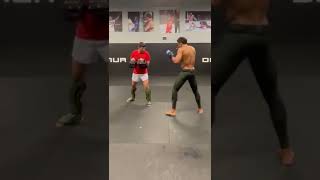 Edson Barboza VICIOUS KICKS In Training [upl. by Flosser]