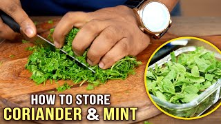 How To Cut amp Store Coriander amp Mint Leaves  Ways To Clean Coriander amp Mint Leaves  Basic Cooking [upl. by Sofer]