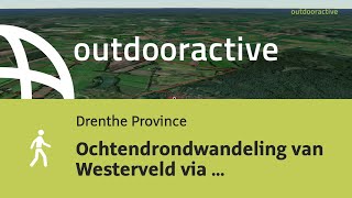 Ochtendrondwandeling van Westerveld via Zoerte op 7 juli 2024 [upl. by Hselin849]