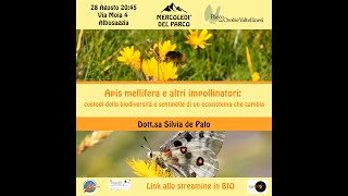 Apis mellifera e altri impollinatori  custodi della biodiversità [upl. by Desiri873]