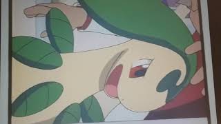 Pokemon Clip Bayleef Misses Ash [upl. by Ecydnac988]