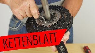 Fahrrad Kettenblatt tauschen  einfach amp schnell  Fahrradorg [upl. by Manoff921]