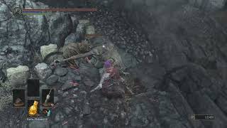 DARK SOULS III  Parry training on Archdragon Peak [upl. by Grochow]