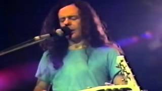 David Lindley Mercury Blues 480p [upl. by Mandi]