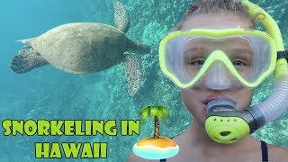 Snorkeling in Hawaii 🏝 WK 3435  Bratayley [upl. by Hibbs148]