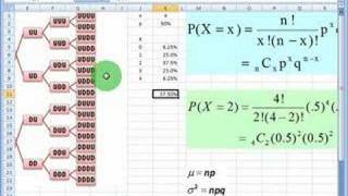 Binomial distribution [upl. by Ailegra]