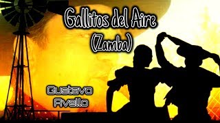 Gustavo Avello  Gallitos Del Aire Zamba [upl. by Asetal282]