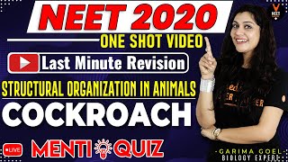 Structural Organisation in Animals Class 11Cockroach  NEET Biology MCQ  NEET 2020 Preparation [upl. by Gilemette]