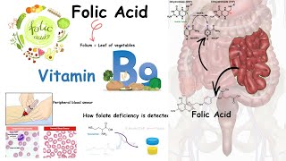 Folate  Vitamin B9 and folate deficiency [upl. by Blockus13]