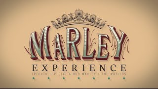 Marley Experience  Bloco 14  Mato Seco [upl. by Alis368]