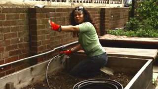 Drip Irrigation For Raised Beds [upl. by Kussell]