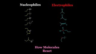 How to Analyze Nucleophiles amp Electrophiles to Predict EVERY ORGANIC CHEMISTRY REACTION MCAT OCHEM [upl. by Noli]