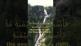 Surah AlWaqiah  Zain Abu Kautsar [upl. by Drannel]