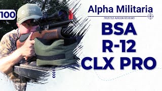 BSA R12 CLX Pro Review amp Accuracy Test [upl. by Retsim]