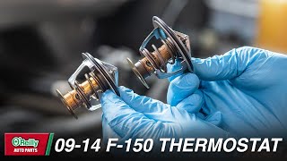 F150 Thermostat Replacement and Coolant Flush 20112014 35L Ecoboost [upl. by Naillil234]