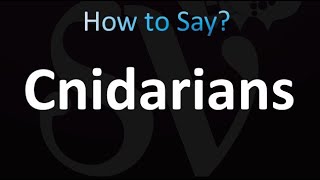 How to Pronounce Cnidarians correctly [upl. by Ahsieket642]