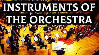 Instruments of the Orchestra [upl. by Noskcire]