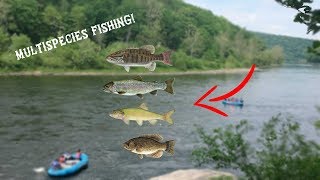 Fishing the Delaware River for GIANT fish [upl. by Abell]