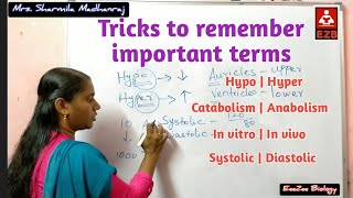 Tricks to remember important terms  In vitroIn vivo  SystolicDiastolic  HypoHyper [upl. by Florida]