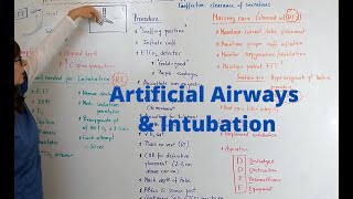 Artificial Airways amp Intubation [upl. by Harret]