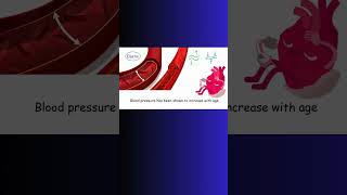 AORTA and ELASTIN BLOOD PRESSURE aorta bloodpressure elastin physiology aging longevity [upl. by Zeta]