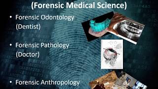 FORENSIC SCIENCE Careers [upl. by Asimaj12]