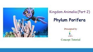 Phylum Porifera Sponges in English  Animal Kingdom Part 2  Biology Class 11NEET [upl. by Xuagram833]