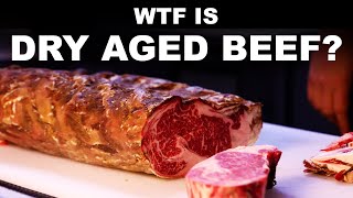 What is dry aged beef Since when is drier meat good [upl. by Aihsoek]