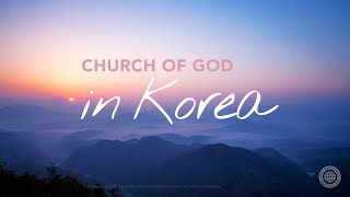 하나님의 교회  한국편 Church of God in Korea [upl. by Melas406]