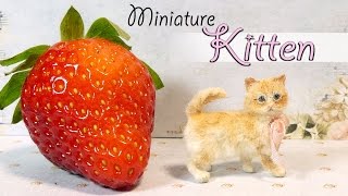 Miniature Kitten Tutorial  DIY Miniature Cat DollsDollhouse [upl. by Hedveh]