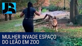 Mulher invade espaço do leão em zoológico dos EUA [upl. by Ytirev931]