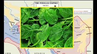 Spinach History and Top Season [upl. by Inele604]