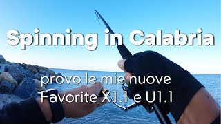 Provo le mie nuove Favorite X11 e U11 catture campr e nuove amicizie [upl. by Hellah]