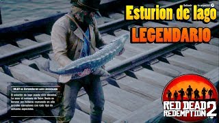 Esturion de lago legendario  Guia pesca RED DEAD REDEMPTION 2 [upl. by Kuhlman714]