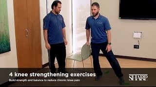 Strengthening Exercises for Dogs [upl. by Rimidalv288]