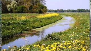 in t groene dal in t stille daljames lastno 1wmv [upl. by Lull]