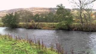 An Introduction to Basic Salmon Fly Fishing [upl. by Vivie]