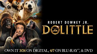 Dolittle  Trailer  Own it on Digital Bluray amp DVD [upl. by Oiluarb]