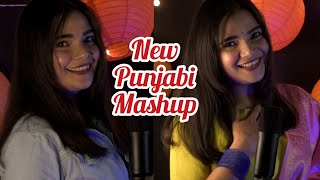 New Punjabi mashup  Swati Mishra [upl. by Thorn]