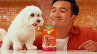 Para siguradong ganado kumain ang furbaby mo try Goodest Dog P33 lang [upl. by Linzy]