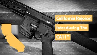 The CA11  Californias ONLY 300blk AR Pistol [upl. by Earlene]