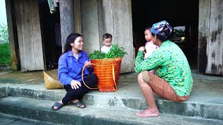 Single mom  Harvesting wild vegetables and selling them to earn money to raise children  Tiểu Huệ [upl. by Laro]