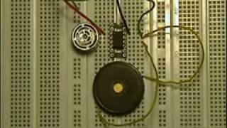 picoBat  an ultrasonic bat detector with 3 components [upl. by Frantz]