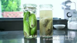 Pepinillos FERMENTADOS receta fácil para prepararlos en casa [upl. by Korns]