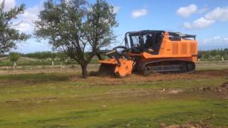 Prime Tech PT600  Almond Tree Removal IMG 1306 [upl. by Itnava]