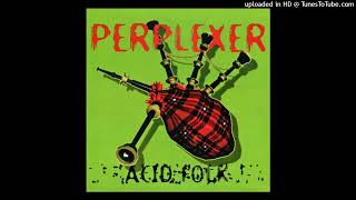 Perplexer  Acid Folk Progressive House Mix [upl. by Hullda]