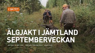 Älgjakt i Jämtland  Septemberveckan [upl. by Scully]