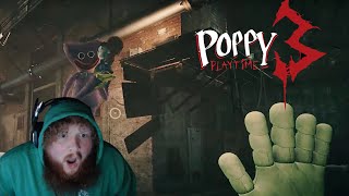 Poppy Playtime Chapter 3 4 hours DONT JUDGE ME [upl. by Unam716]